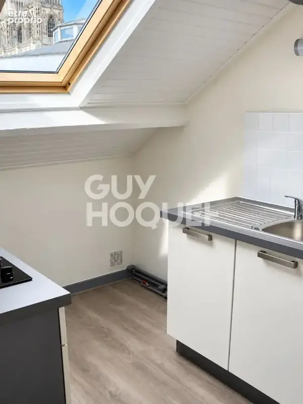 Immeuble de caractère, Orleans Centre - 5 lots - photo 13
