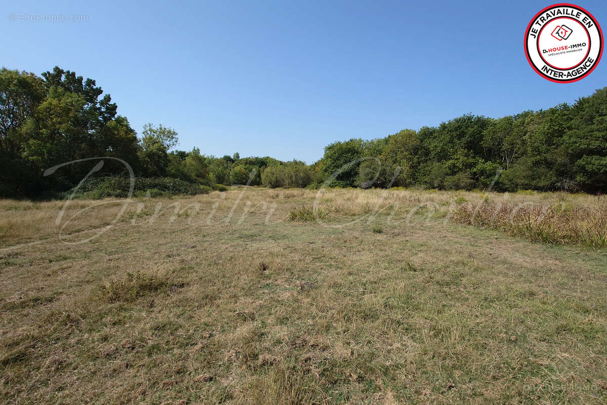 Terrain à SAINT-VIVIEN-DE-MEDOC