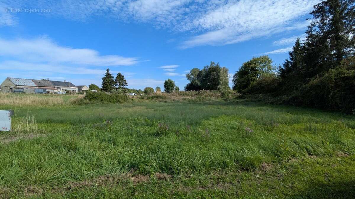 Terrain 4682 m² à Trosly-Loire  - photo 4