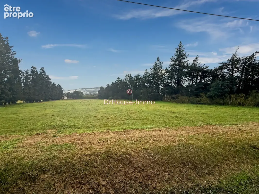 Terrain 18 000 m² à vendre à Cheval-Blanc (84460) - photo 3