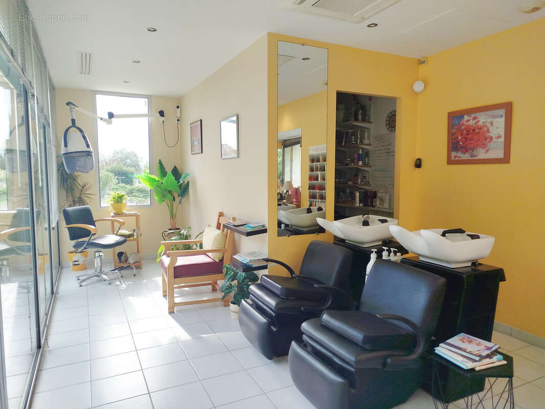 Commerce à PELLEGRUE