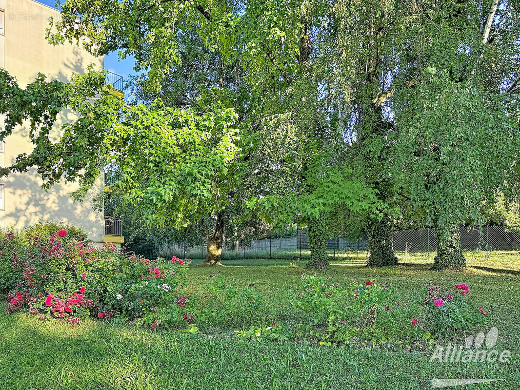 Appartement à GRAND-CHARMONT