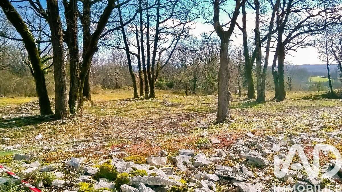 Photo 3 - Terrain à NESPOULS