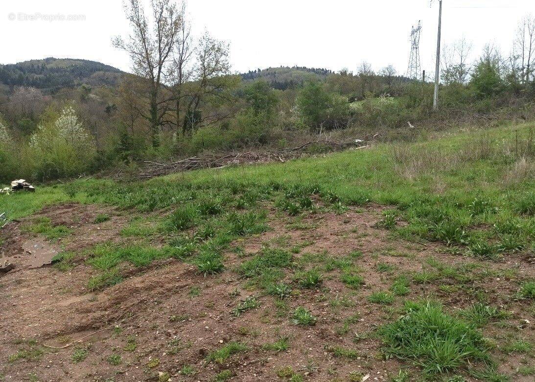 Terrain à LE CHAMBON-FEUGEROLLES