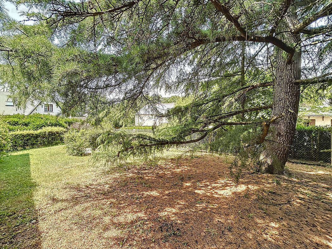 Maison à JOUE-LES-TOURS