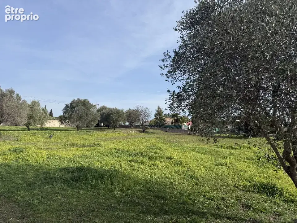 Terrain à ROQUEBRUNE-SUR-ARGENS