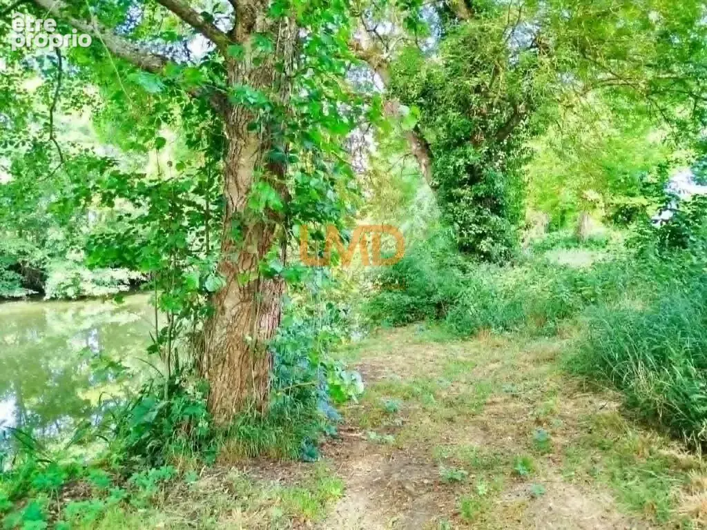 Terrain naturel 5 297 m² à Martizay – 2 €/m² – Idéal loisirs & n - photo 2