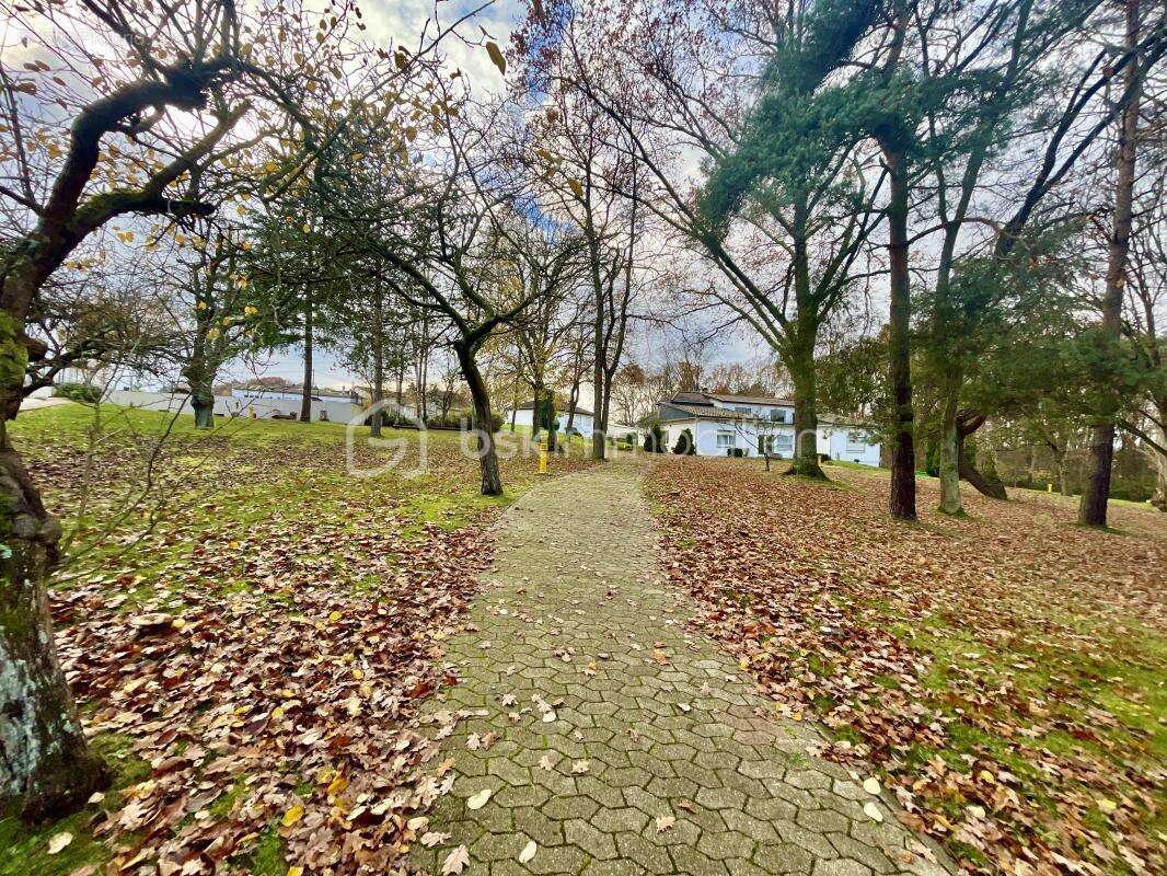 Commerce à CREUTZWALD