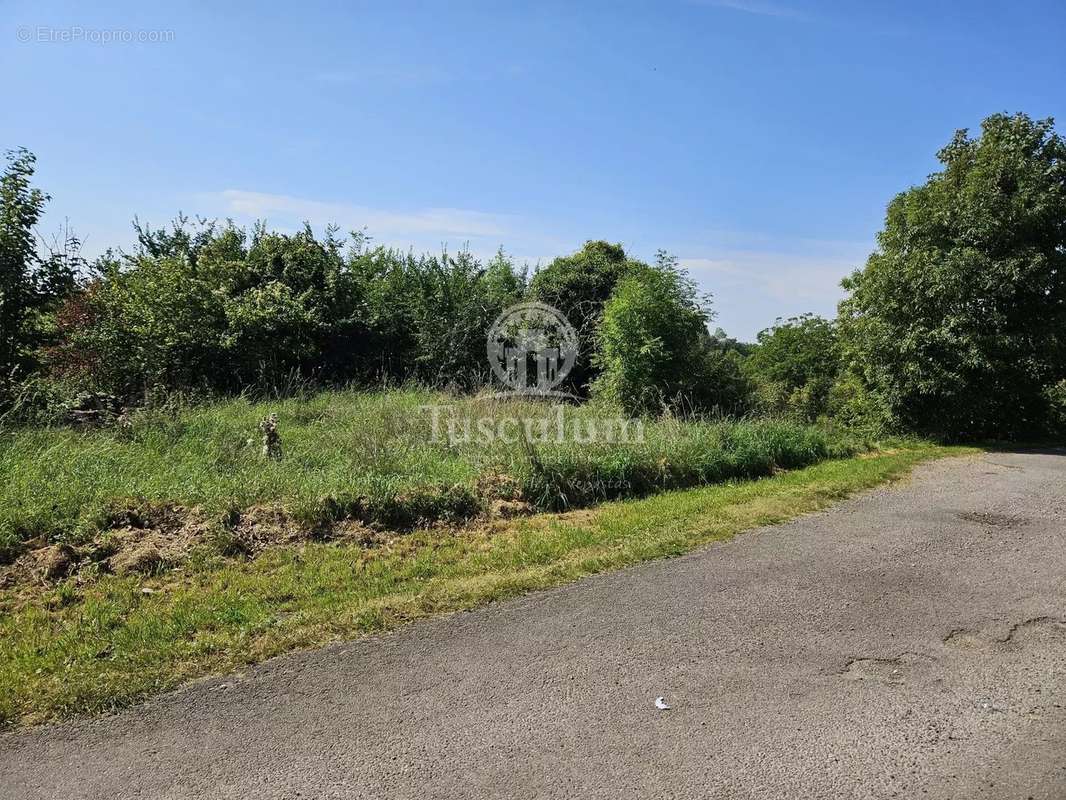 Terrain à REMOIVILLE