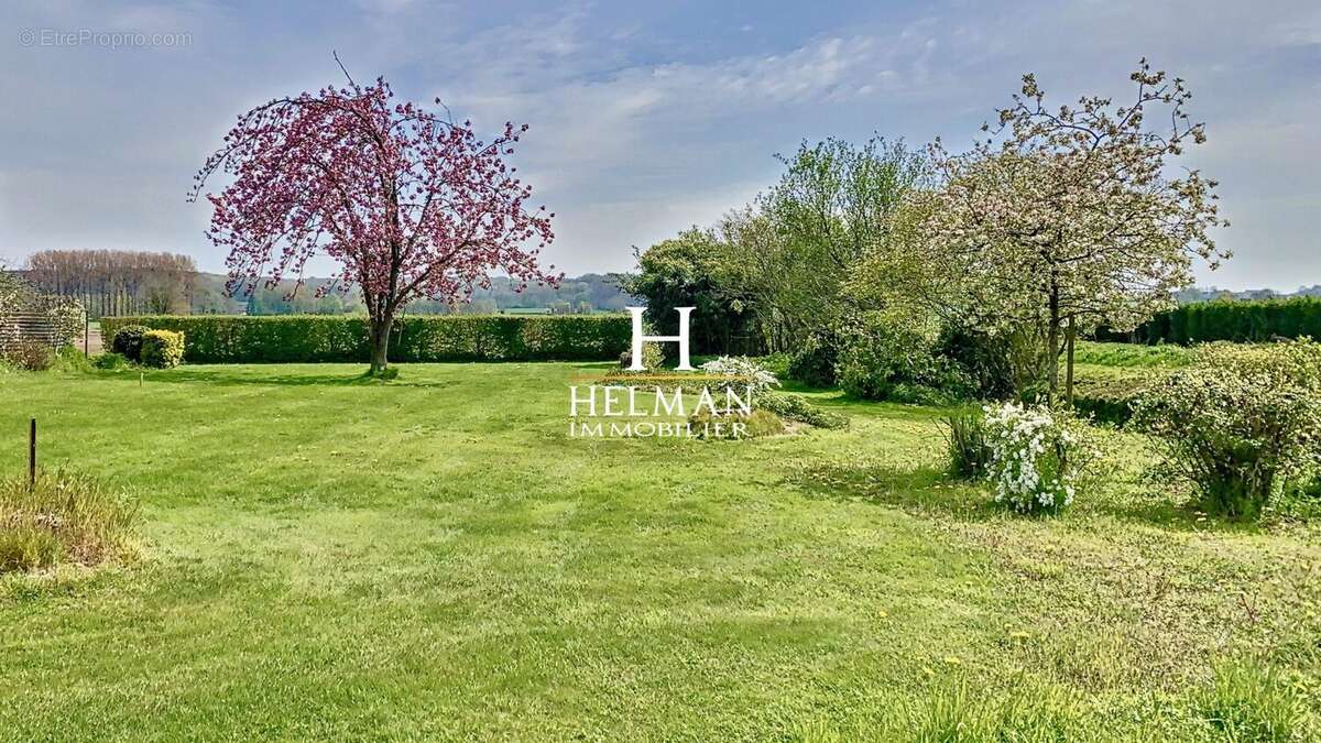 Terrain à RENESCURE