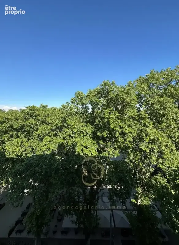 Appartement haussmannien 133 m² Montpellier Boulevard Sarrail  6 pièces, ascenseur, cave, prestations haut de gamme - photo 11