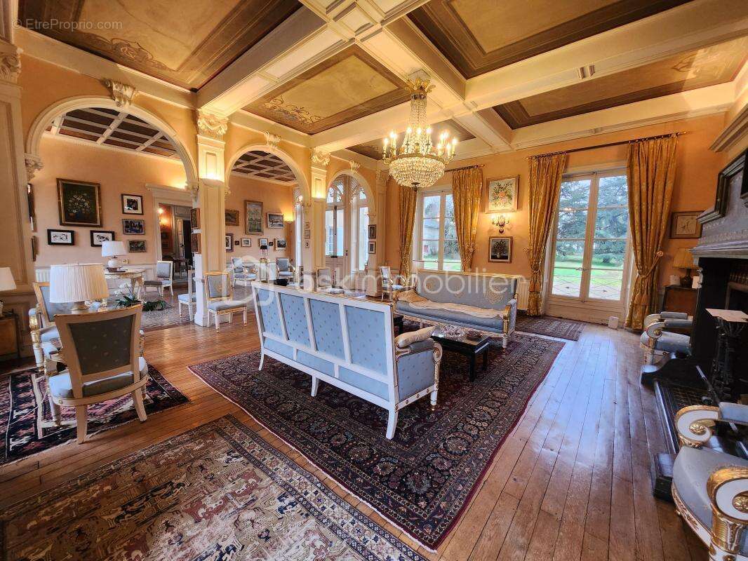 Magnifique Chateau du XIX éme , dépendances, Maison de gardien/gite, parc arboré de 9,5 hectares - photo 9
