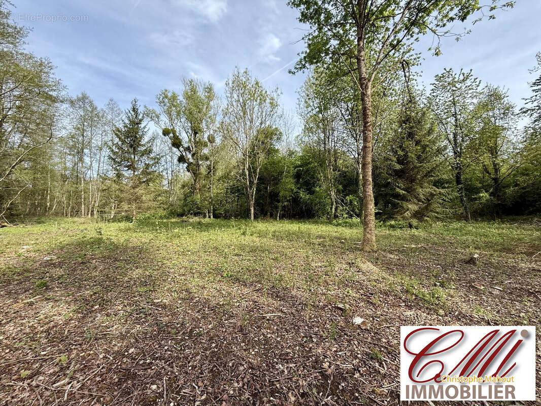 Terrain à VITRY-LE-FRANCOIS