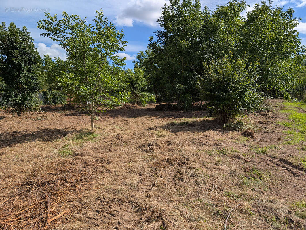 Terrain à NANTEUIL-LES-MEAUX
