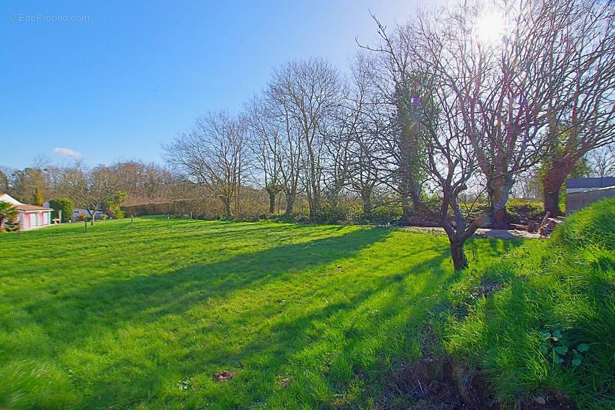 Terrain à SAINTE-FOY