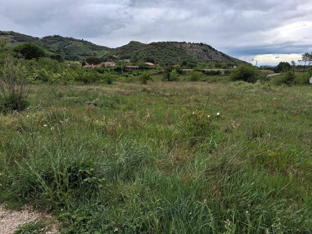Terrain à CORNAS