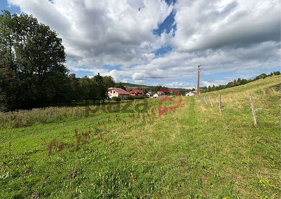 Terrain à FONCINE-LE-HAUT