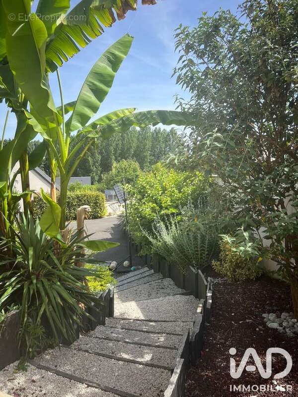 Photo 4 - Maison à SACHE