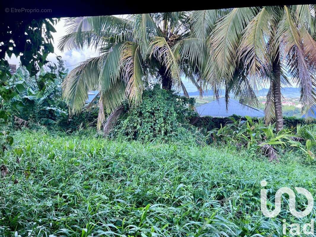 Photo 2 - Maison à FORT-DE-FRANCE