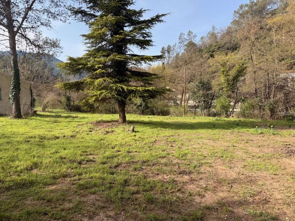 Terrain à BELGENTIER