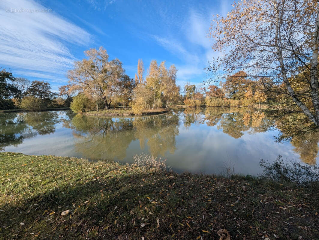 Terrain à LE CHATELET
