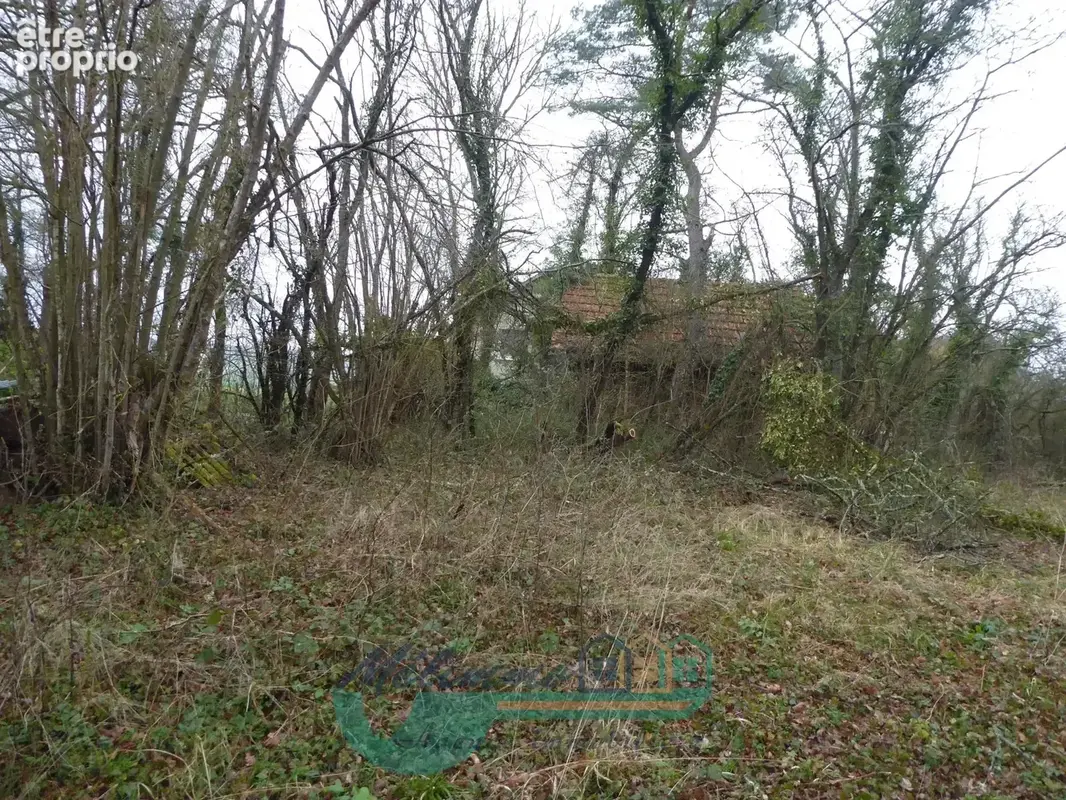 Terrain 30 m² à vendre à Villiers-Saint-Benoit (89130) - photo 4