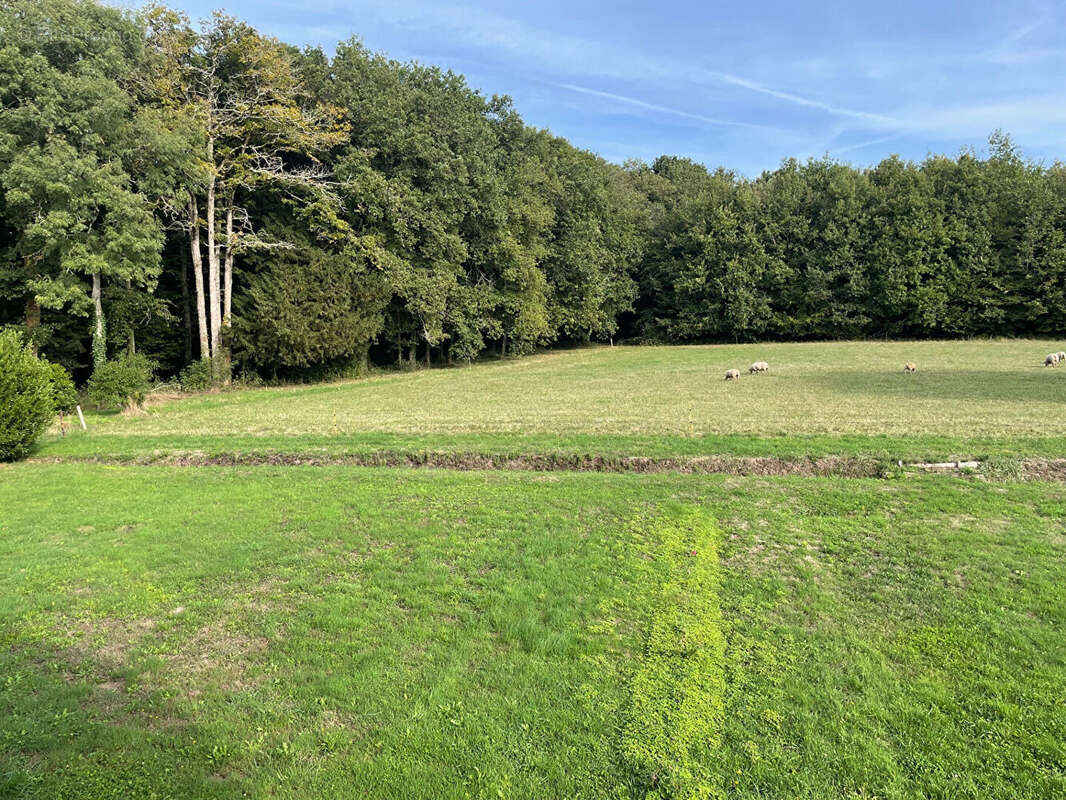 Maison à LA ROCHE-SUR-YON
