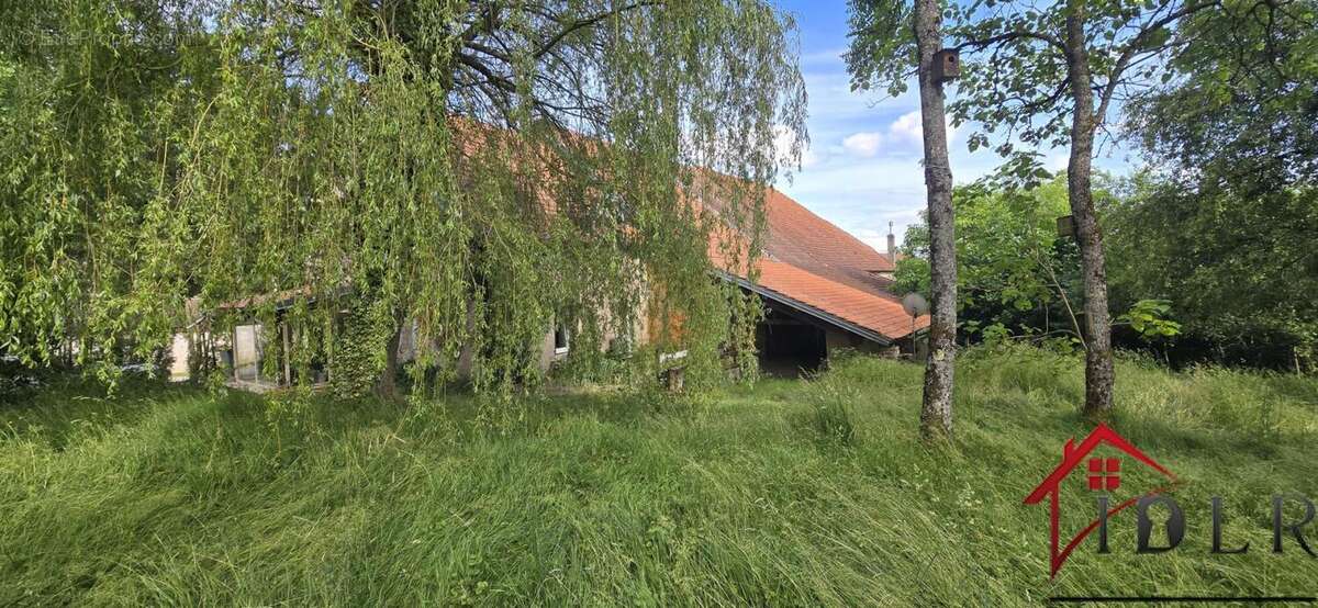 THIEFFRANS 70230 Maison de Village mitoyenne de 142 m2 sur 2 - photo 2