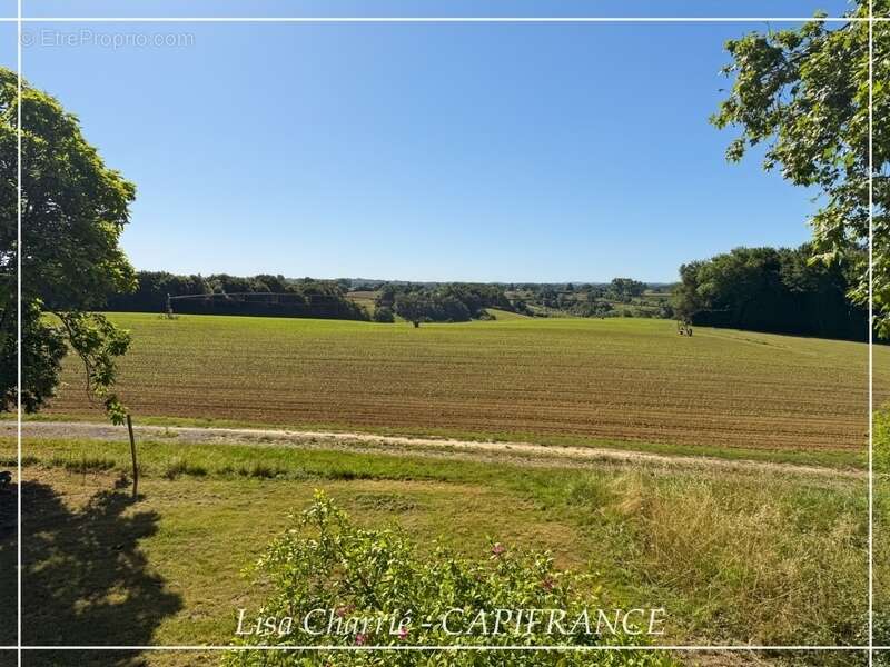 Propriete à vendre 11 pièces de 406 m2 habitables au total, avec dépendance sur 5261 m2 proche de NOGARO (32) - photo 5