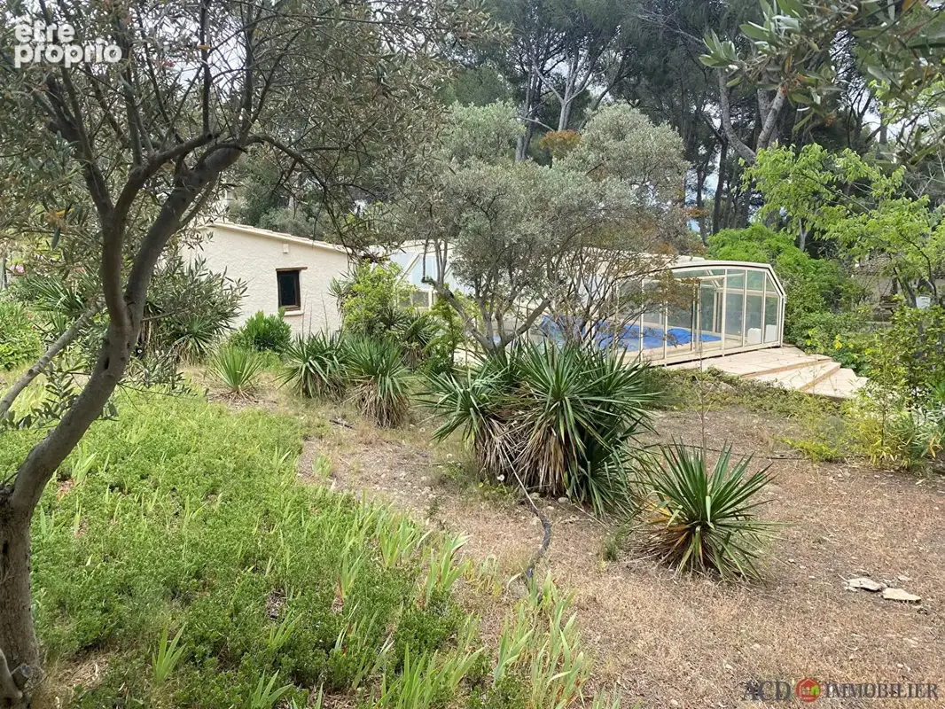 A vendre la fare les oliviers - terrain de 1329 m2 - photo 2