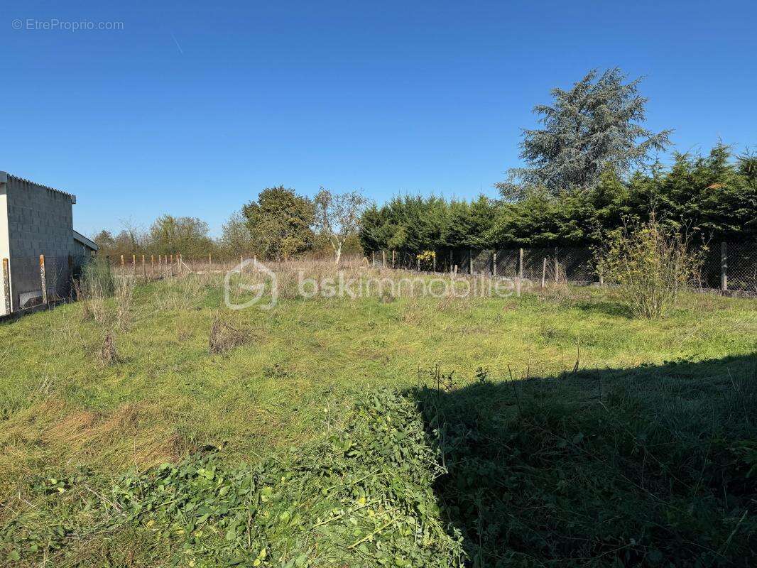 Commerce à LES ARTIGUES-DE-LUSSAC