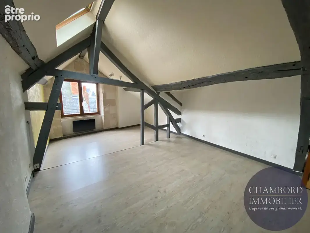 Appartement 2 pièces à vendre - Centre-ville de Blois - photo 2