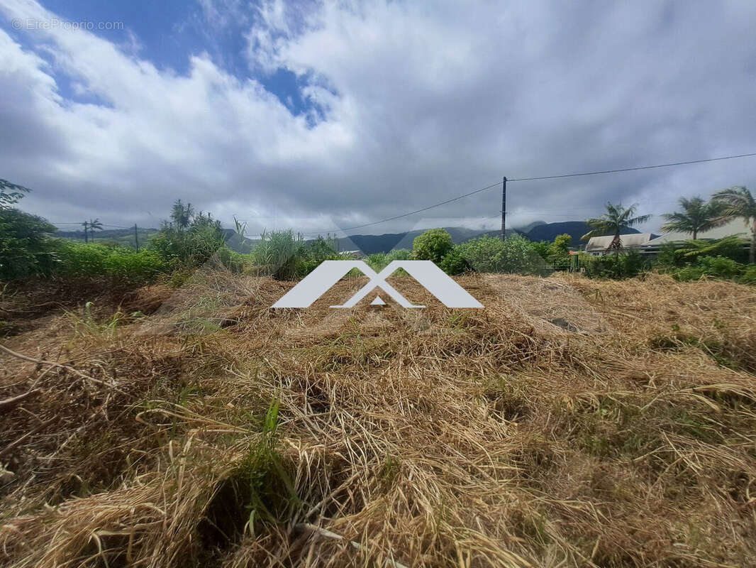 Terrain à SAINT-JOSEPH