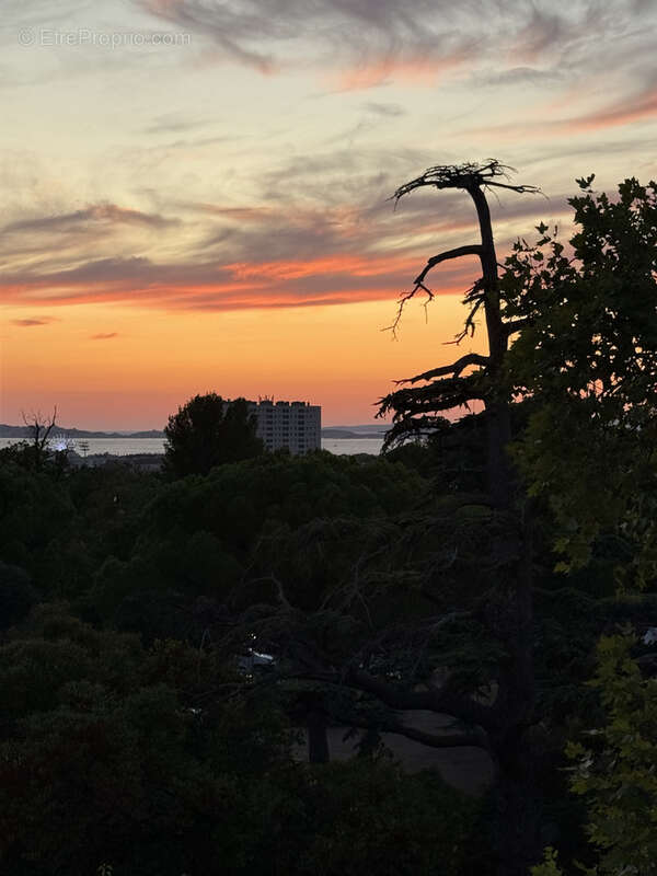 Appartement à MARSEILLE-9E