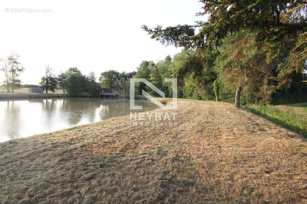 Etang avec sources - photo 13