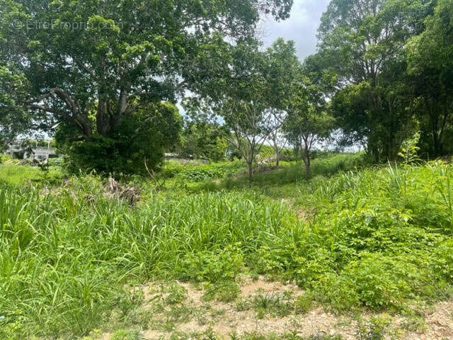 Terrain à PETIT-CANAL