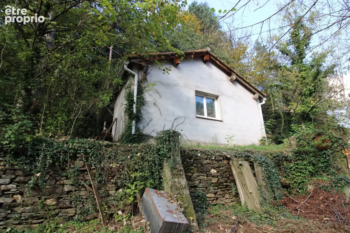 MAS 360 de volume + 25 hectares. - photo 45