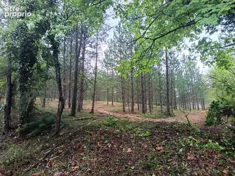 Terrain à MOLLANS-SUR-OUVEZE