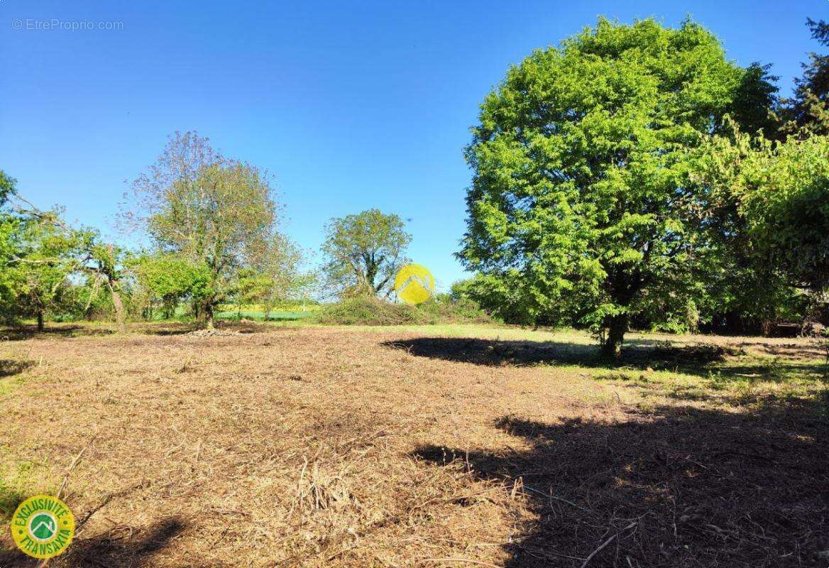 Terrain campagne berrichonne - photo 11