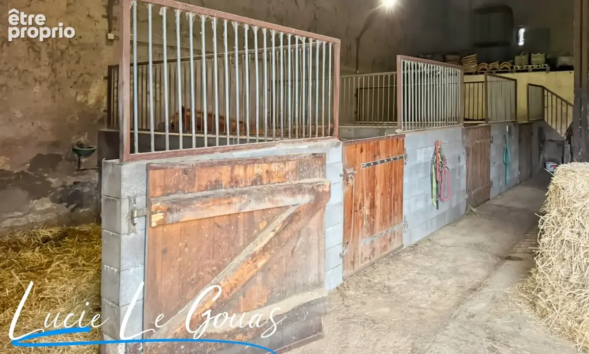 Ferme équestre - photo 26