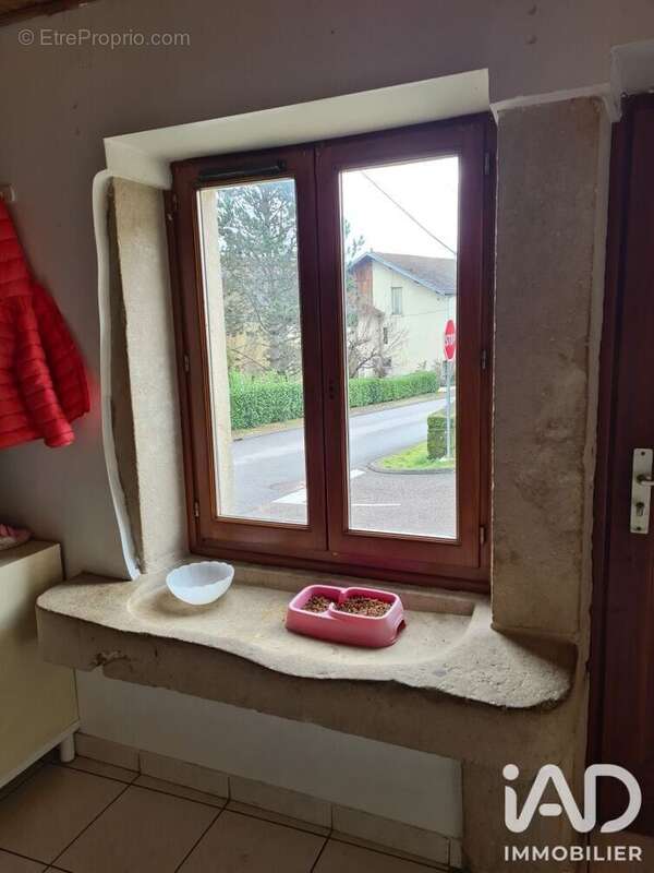 Photo 6 - Maison à BAINS-LES-BAINS