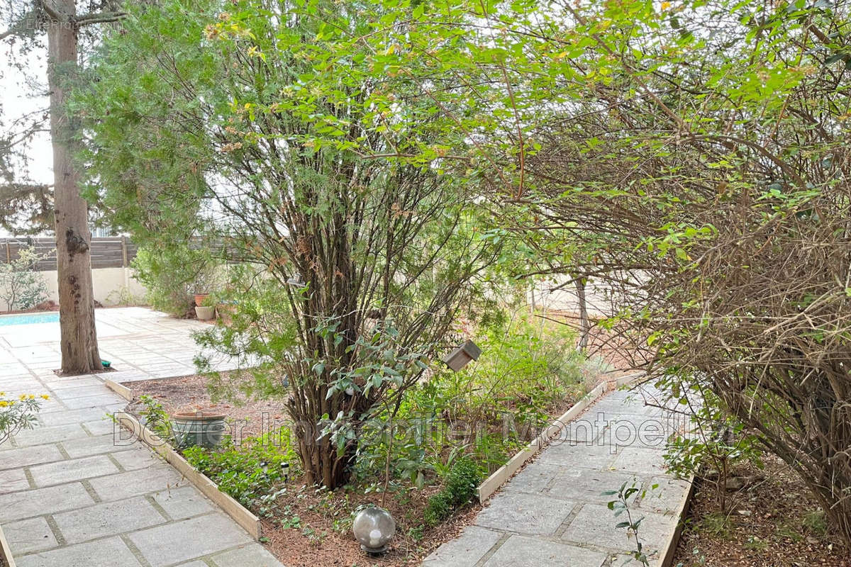 Maison à MONTPELLIER