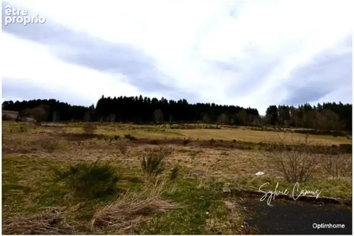 Terrain à vendre de 1 018,00 m² DUNIERES (43) Vue dégagée – Cadre paisible – Proche commodités - photo 5