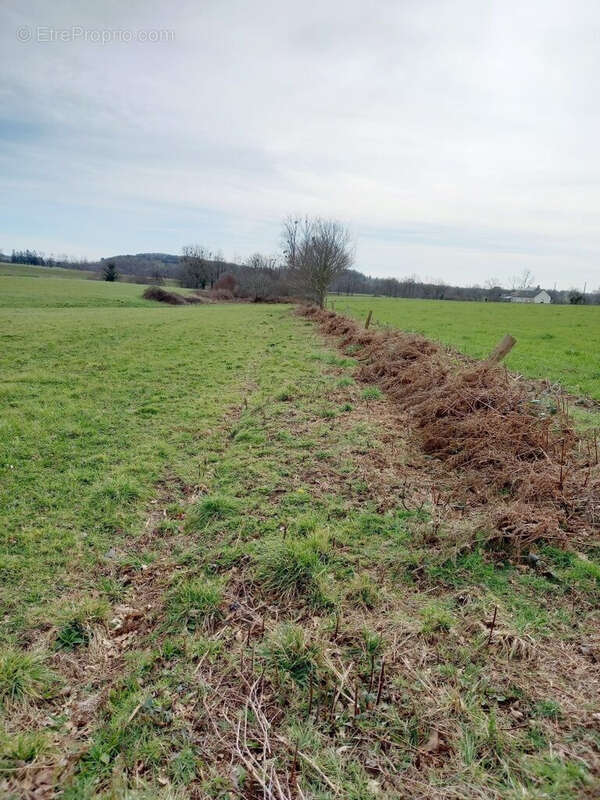 Terrain à MELLE