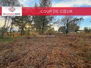 Terrain à MESSANGES