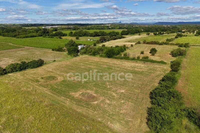 Parcelles agricoles 12 000 m² - JUNAS (GARD) - photo 3