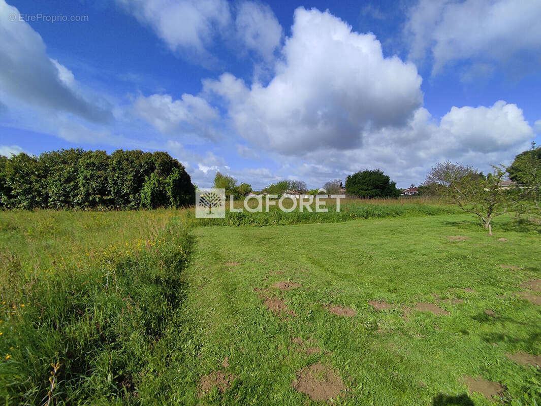 Terrain à CASTELSARRASIN