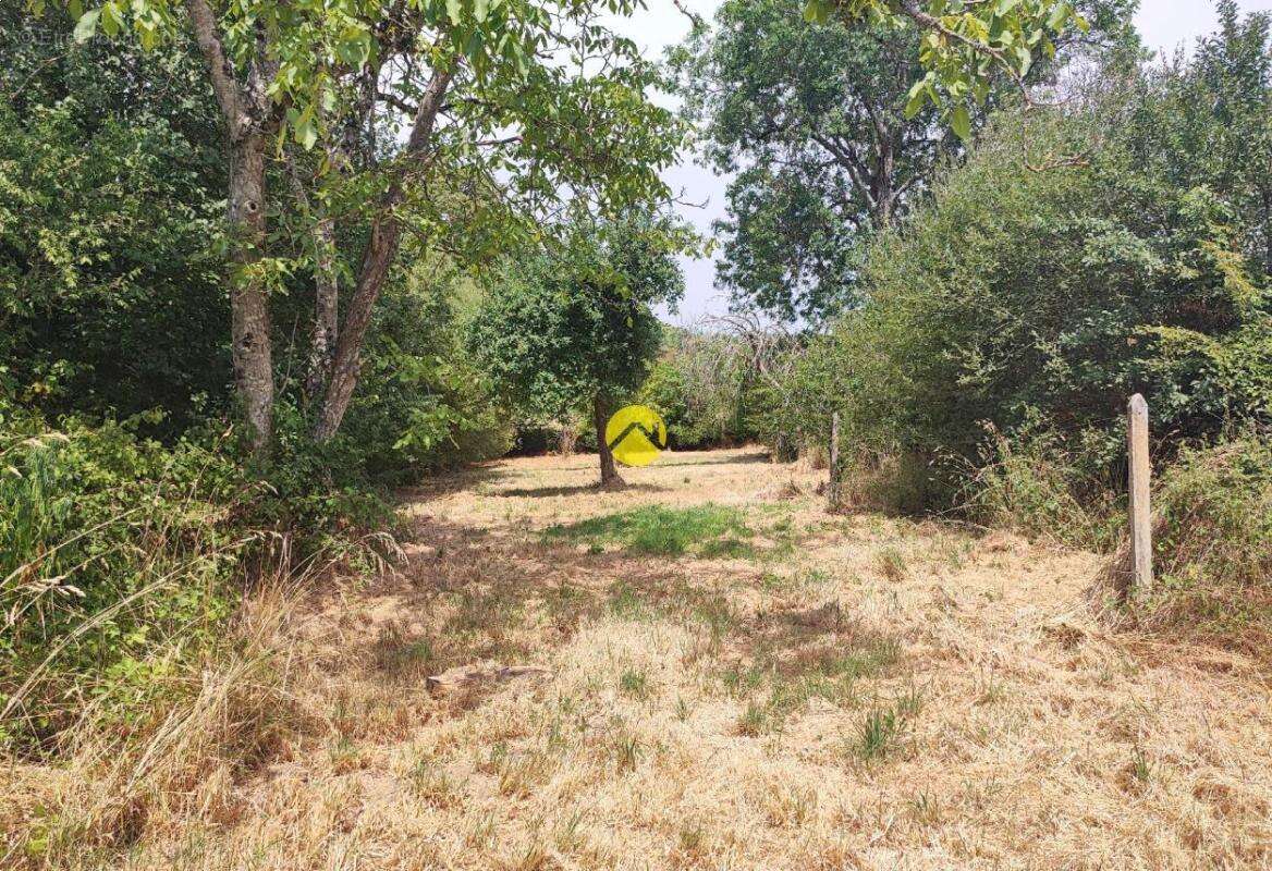 Plain pied de 101m² au calme - photo 15