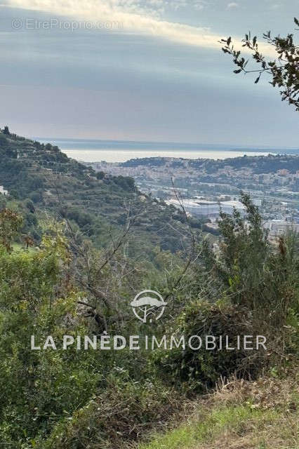 Terrain à NICE
