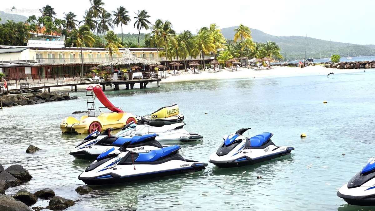 Commerce à LES TROIS-ILETS